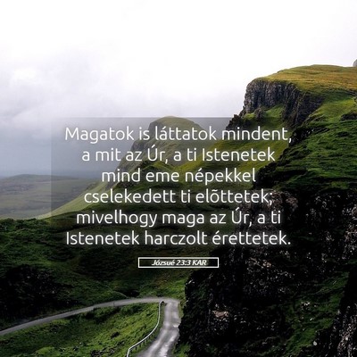 Picture 05 - Józsué 23:3 KAR - Magatok is láttatok mindent, a mit az Úr, a ti - Bible Verse Picture
