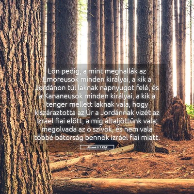 Picture 05 - Józsué 5:1 KAR - Lõn pedig, a mint meghallák az Emoreusok minden - Bible Verse Picture