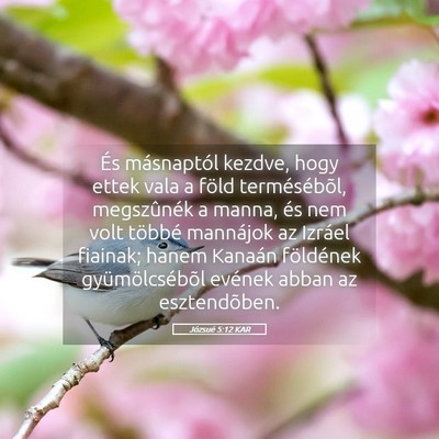 Picture 05 - Józsué 5:12 KAR - És másnaptól kezdve, hogy ettek vala a föld - Bible Verse Picture