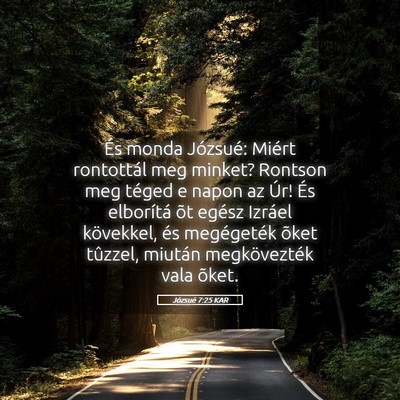 Picture 05 - Józsué 7:25 KAR - És monda Józsué: Miért rontottál meg minket? - Bible Verse Picture