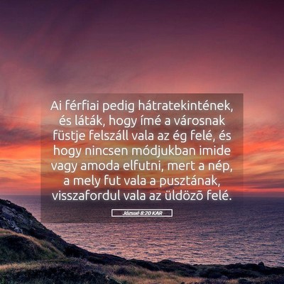 Picture 05 - Józsué 8:20 KAR - Ai férfiai pedig hátratekintének, és láták, - Bible Verse Picture