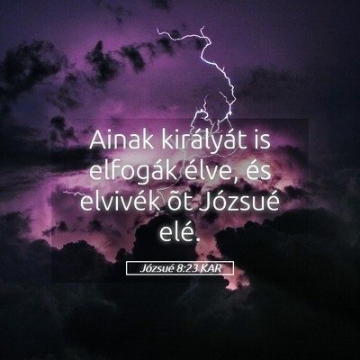 Picture 05 - Józsué 8:23 KAR - Ainak királyát is elfogák élve, és elvivék - Bible Verse Picture