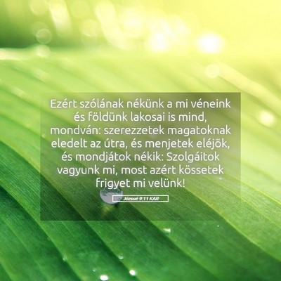 Picture 05 - Józsué 9:11 KAR - Ezért szólának nékünk a mi véneink és - Bible Verse Picture