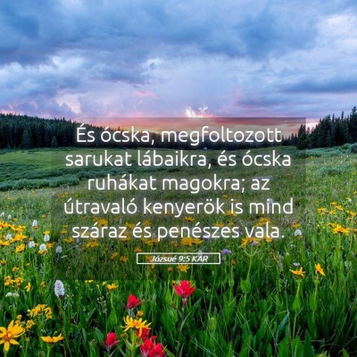 Picture 05 - Józsué 9:5 KAR - És ócska, megfoltozott sarukat lábaikra, és - Bible Verse Picture
