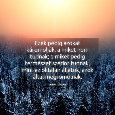 Picture 05 - Júdás 1:10 KAR - Ezek pedig azokat káromolják, a miket nem - Bible Verse Picture