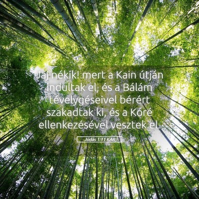 Picture 05 - Júdás 1:11 KAR - Jaj nékik! mert a Kain útján indultak el, és - Bible Verse Picture
