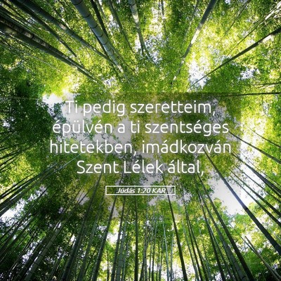 Picture 05 - Júdás 1:20 KAR - Ti pedig szeretteim, épülvén a ti szentséges - Bible Verse Picture