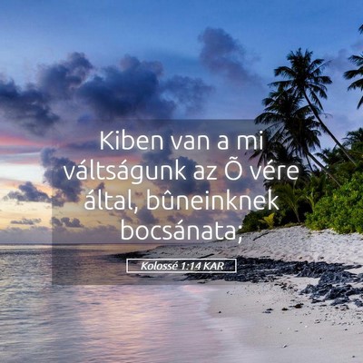 Picture 05 - Kolossé 1:14 KAR - Kiben van a mi váltságunk az Õ vére által, - Bible Verse Picture