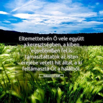 Picture 05 - Kolossé 2:12 KAR - Eltemettetvén Õ vele együtt a keresztségben, - Bible Verse Picture