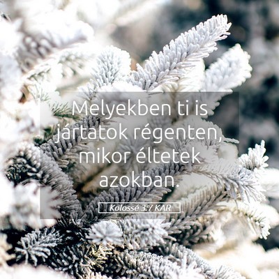 Picture 05 - Kolossé 3:7 KAR - Melyekben ti is jártatok régenten, mikor - Bible Verse Picture