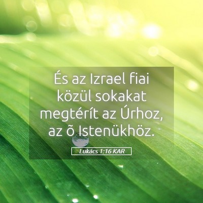 Picture 05 - Lukács 1:16 KAR - És az Izrael fiai közül sokakat megtérít az - Bible Verse Picture