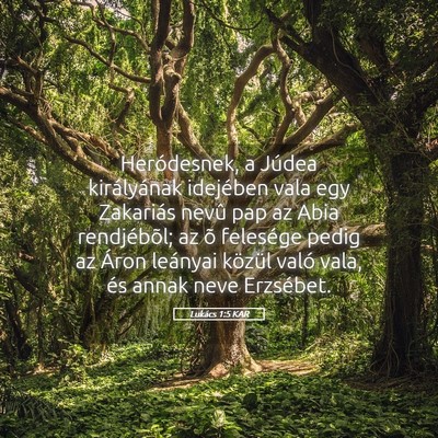 Picture 05 - Lukács 1:5 KAR - Heródesnek, a Júdea királyának idejében vala - Bible Verse Picture