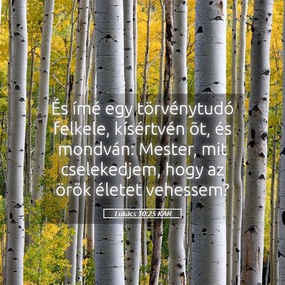 Picture 05 - Lukács 10:25 KAR - És ímé egy törvénytudó felkele, - Bible Verse Picture