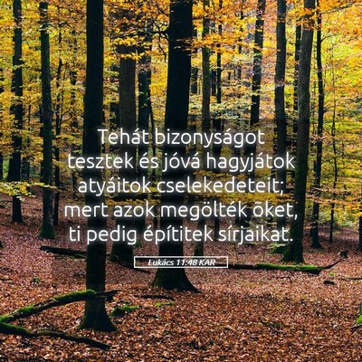 Picture 05 - Lukács 11:48 KAR - Tehát bizonyságot tesztek és jóvá hagyjátok - Bible Verse Picture
