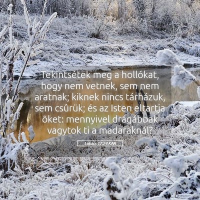 Picture 05 - Lukács 12:24 KAR - Tekintsétek meg a hollókat, hogy nem vetnek, - Bible Verse Picture