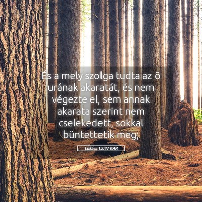 Picture 05 - Lukács 12:47 KAR - És a mely szolga tudta az õ urának akaratát, - Bible Verse Picture