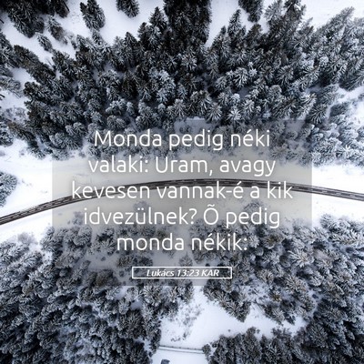 Picture 05 - Lukács 13:23 KAR - Monda pedig néki valaki: Uram, avagy kevesen - Bible Verse Picture