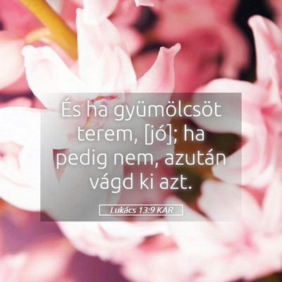 Picture 05 - Lukács 13:9 KAR - És ha gyümölcsöt terem, [jó]; ha pedig nem, - Bible Verse Picture