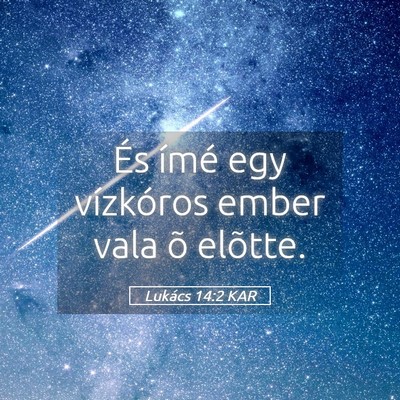 Picture 05 - Lukács 14:2 KAR - És ímé egy vízkóros ember vala õ - Bible Verse Picture