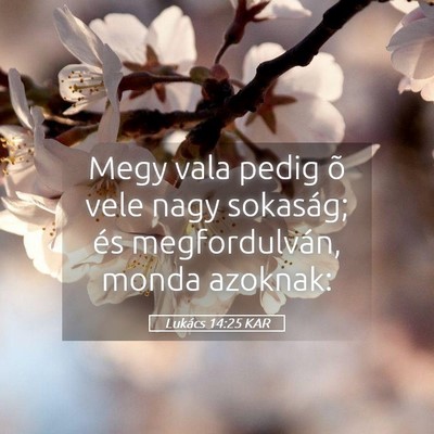 Picture 05 - Lukács 14:25 KAR - Megy vala pedig õ vele nagy sokaság; és - Bible Verse Picture