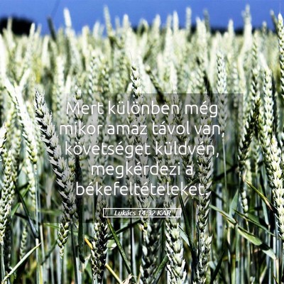 Picture 05 - Lukács 14:32 KAR - Mert különben még mikor amaz távol van, - Bible Verse Picture