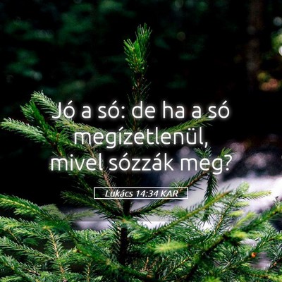 Picture 05 - Lukács 14:34 KAR - Jó a só: de ha a só megízetlenül, mivel - Bible Verse Picture