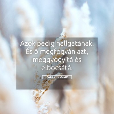 Picture 05 - Lukács 14:4 KAR - Azok pedig hallgatának. És õ megfogván azt, - Bible Verse Picture