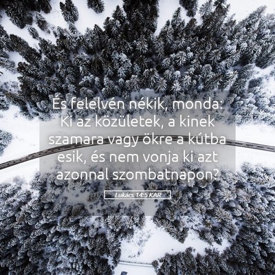 Picture 05 - Lukács 14:5 KAR - És felelvén nékik, monda: Ki az közületek, a - Bible Verse Picture