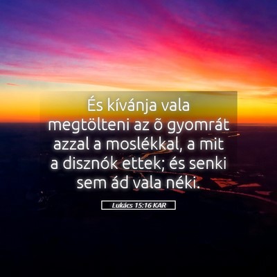 Picture 05 - Lukács 15:16 KAR - És kívánja vala megtölteni az õ gyomrát - Bible Verse Picture