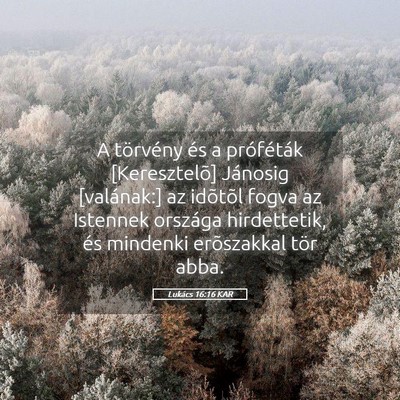 Picture 05 - Lukács 16:16 KAR - A törvény és a próféták [Keresztelõ] - Bible Verse Picture