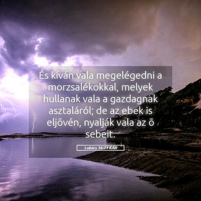 Picture 05 - Lukács 16:21 KAR - És kíván vala megelégedni a morzsalékokkal, - Bible Verse Picture