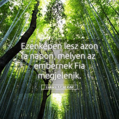 Picture 05 - Lukács 17:30 KAR - Ezenképen lesz azon a napon, melyen az embernek - Bible Verse Picture