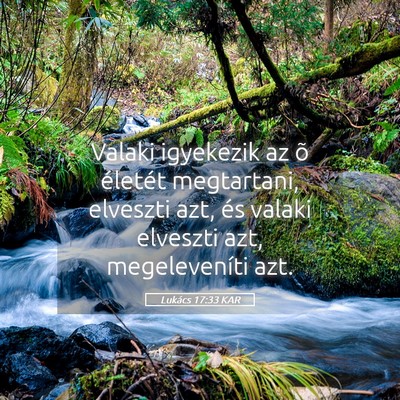 Picture 05 - Lukács 17:33 KAR - Valaki igyekezik az õ életét megtartani, - Bible Verse Picture
