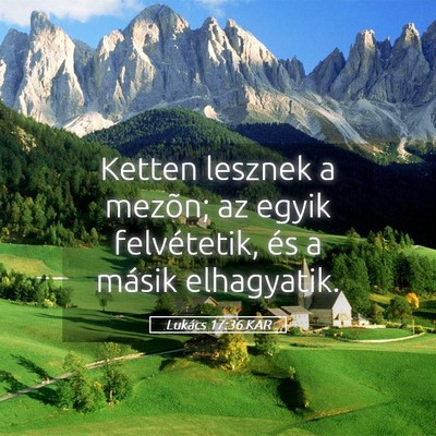 Picture 05 - Lukács 17:36 KAR - Ketten lesznek a mezõn; az egyik felvétetik, - Bible Verse Picture