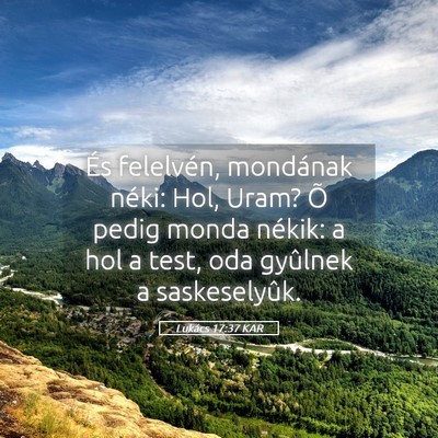 Picture 05 - Lukács 17:37 KAR - És felelvén, mondának néki: Hol, Uram? Õ - Bible Verse Picture