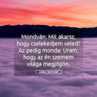 Picture 05 - Lukács 18:41 KAR - Mondván: Mit akarsz, hogy cselekedjem veled? Az - Bible Verse Picture