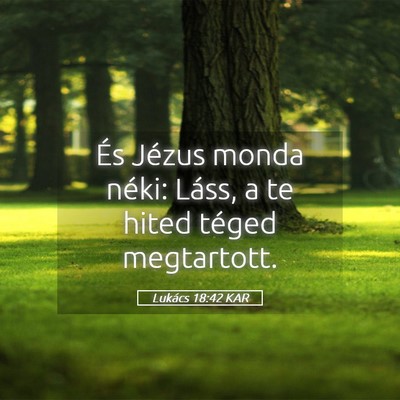 Picture 05 - Lukács 18:42 KAR - És Jézus monda néki: Láss, a te hited téged - Bible Verse Picture
