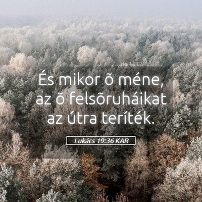 Picture 05 - Lukács 19:36 KAR - És mikor õ méne, az õ felsõruháikat az - Bible Verse Picture