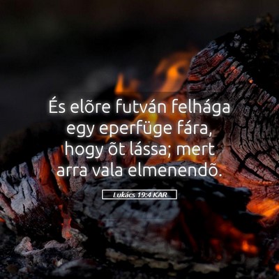 Picture 05 - Lukács 19:4 KAR - És elõre futván felhága egy eperfüge fára, - Bible Verse Picture