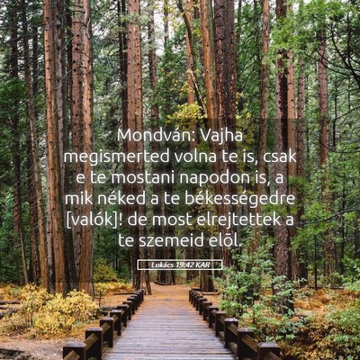 Picture 05 - Lukács 19:42 KAR - Mondván: Vajha megismerted volna te is, csak e - Bible Verse Picture