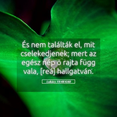 Picture 05 - Lukács 19:48 KAR - És nem találták el, mit cselekedjenek; mert az - Bible Verse Picture