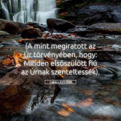 Picture 05 - Lukács 2:23 KAR - (A mint megiratott az Úr törvényében, hogy: - Bible Verse Picture