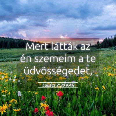 Picture 05 - Lukács 2:30 KAR - Mert látták az én szemeim a te - Bible Verse Picture