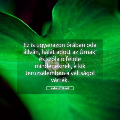 Picture 05 - Lukács 2:38 KAR - Ez is ugyanazon órában oda állván, hálát - Bible Verse Picture