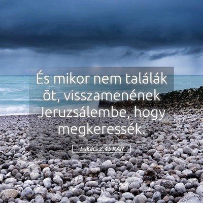 Picture 05 - Lukács 2:45 KAR - És mikor nem találák õt, visszamenének - Bible Verse Picture