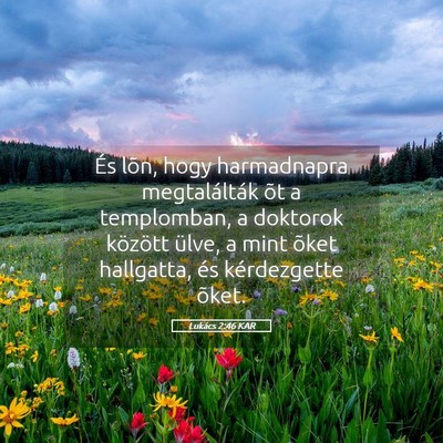 Picture 05 - Lukács 2:46 KAR - És lõn, hogy harmadnapra megtalálták õt a - Bible Verse Picture