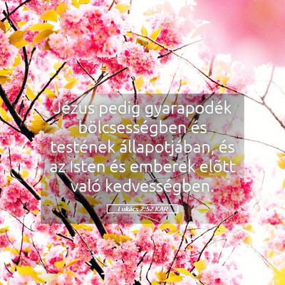 Picture 05 - Lukács 2:52 KAR - Jézus pedig gyarapodék bölcsességben és - Bible Verse Picture