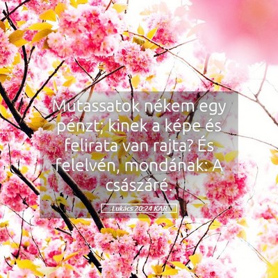 Picture 05 - Lukács 20:24 KAR - Mutassatok nékem egy pénzt; kinek a képe és - Bible Verse Picture