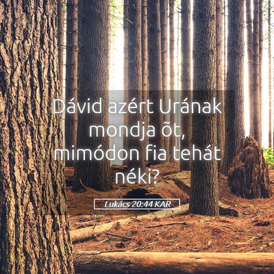 Picture 05 - Lukács 20:44 KAR - Dávid azért Urának mondja õt, mimódon fia - Bible Verse Picture