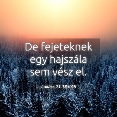 Picture 05 - Lukács 21:18 KAR - De fejeteknek egy hajszála sem vész - Bible Verse Picture